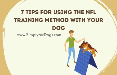 7 Tips for Using the NFL Training Method with Your Dog