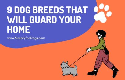 9 Dog Breeds That Will Guard Your Home