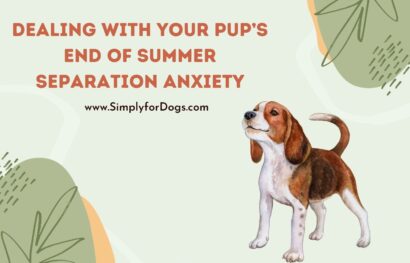 Dealing with Your Pup’s End of Summer Separation Anxiety