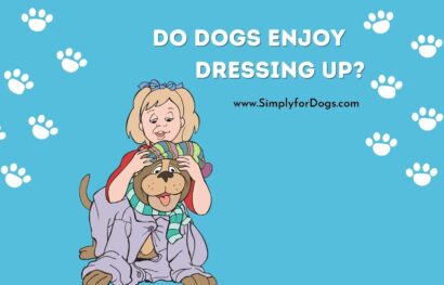 Do Dogs Enjoy Dressing Up