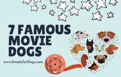 7 famous movie dogs