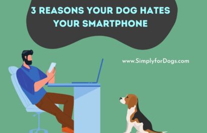 3 Reasons Your Dog Hates Your Smartphone