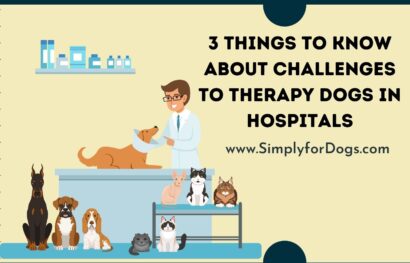 3 Things to Know about Challenges to Therapy Dogs in Hospitals