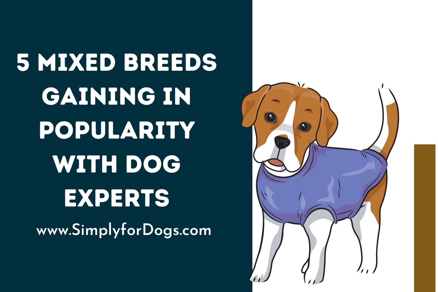 5 Mixed Breeds Gaining in Popularity with Dog Experts