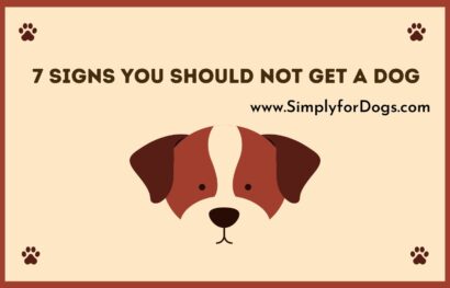 7 Signs You Should NOT Get a Dog