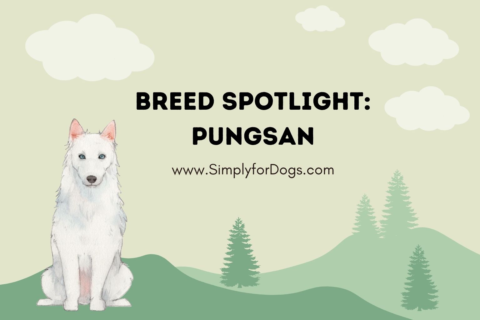 Breed Spotlight_ Pungsan