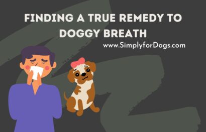Finding a True Remedy to Doggy Breath