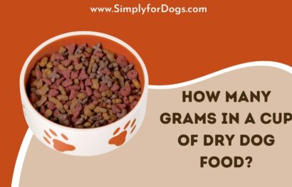 How Many Grams in a Cup of Dry Dog Food