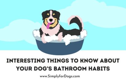 Interesting Things to Know about Your Dog’s Bathroom Habits
