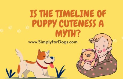 Is the Timeline of Puppy Cuteness a Myth_
