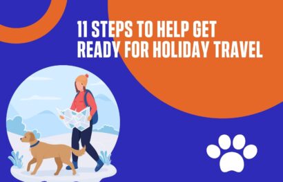 11 Steps to Help Get Ready for Holiday Travel