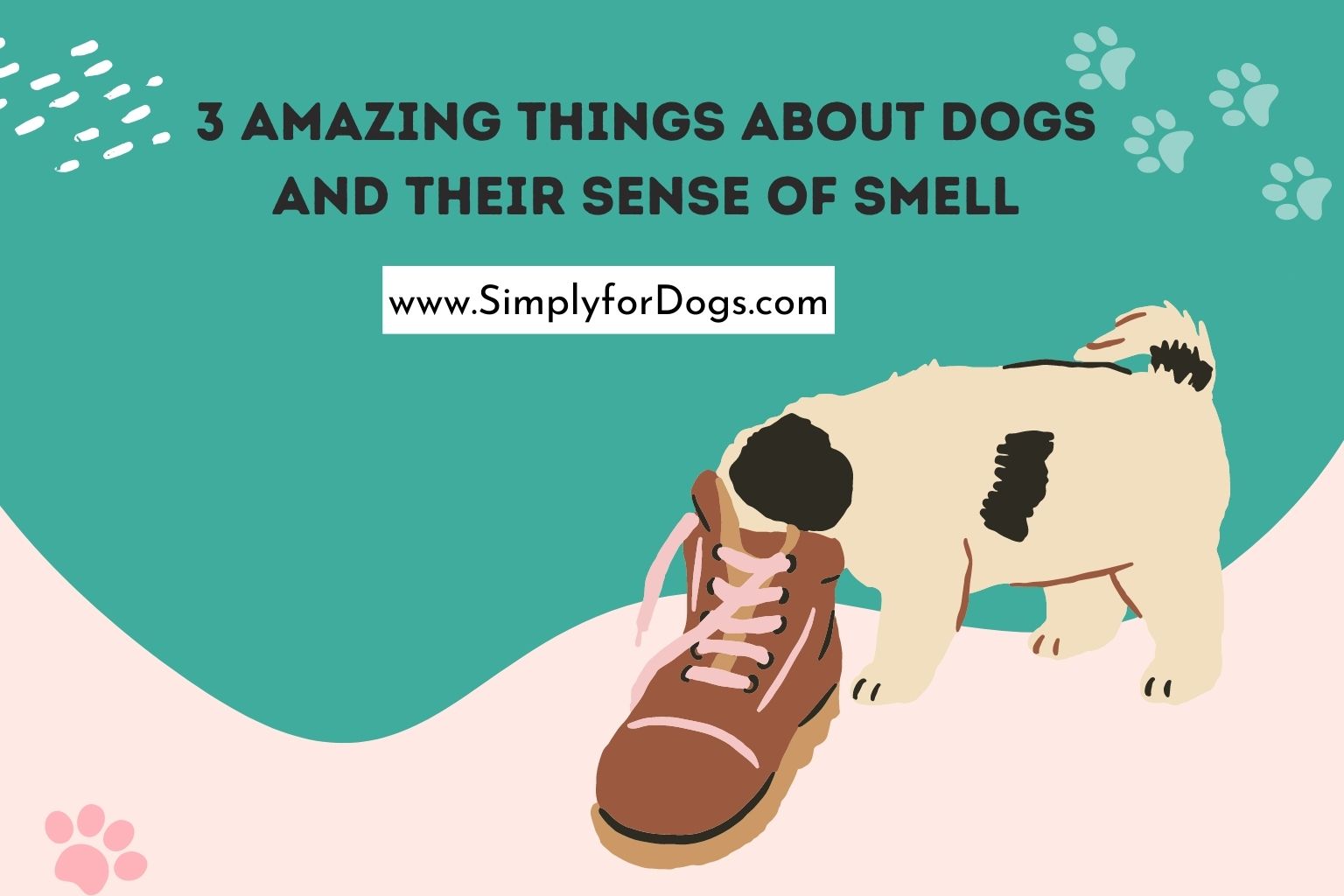 3 Amazing Things about Dogs and Their Sense of Smell
