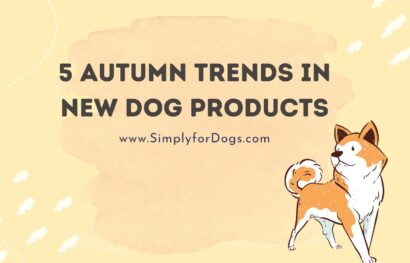 5 Autumn Trends in New Dog Products