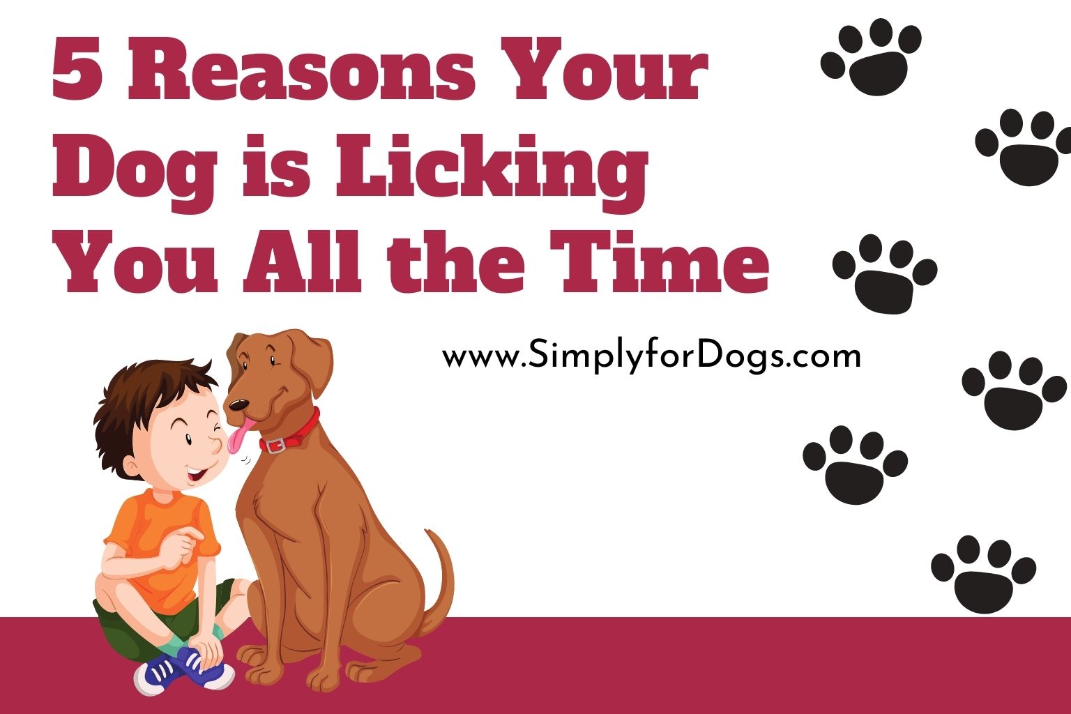 5 Reasons Your Dog is Licking You All the Time