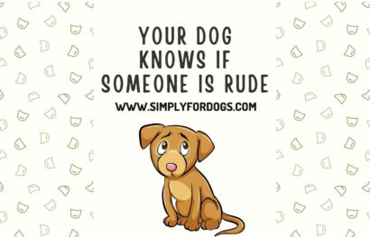 Your Dog Knows If Someone Is Rude
