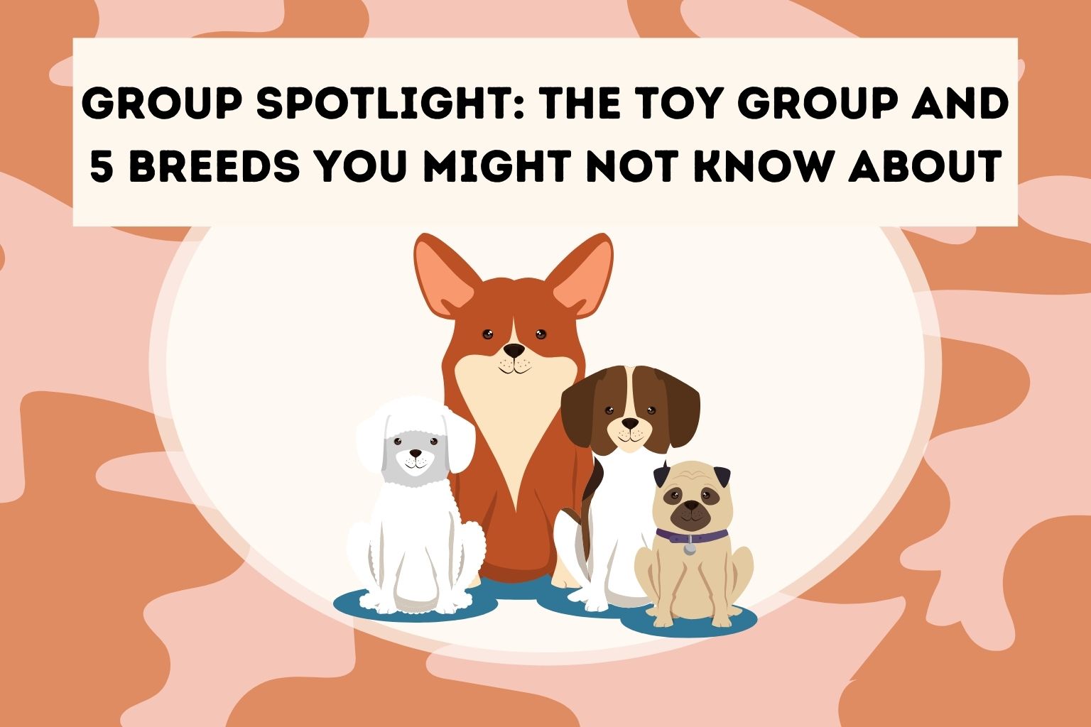 Group Spotlight_ The Toy Group and 5 Breeds You Might Not Know About