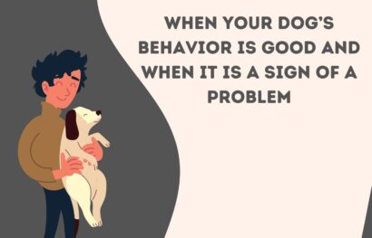 When Your Dog’s Behavior is Good and When It is a Sign of a Problem