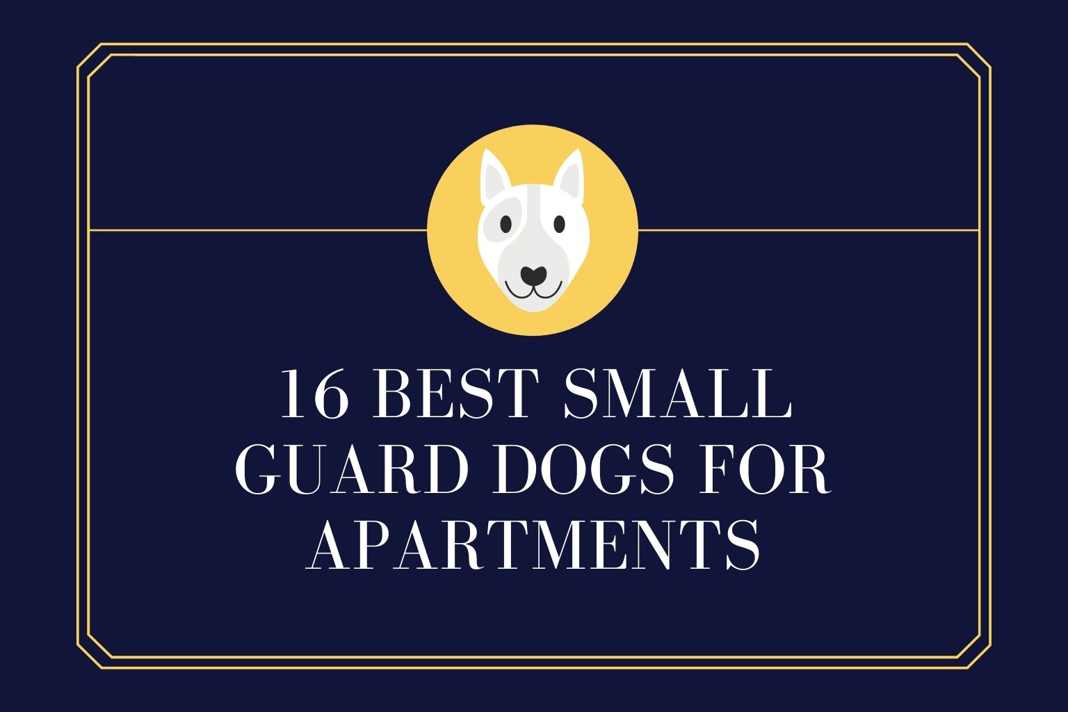 16 Best Small Guard Dogs for Apartments