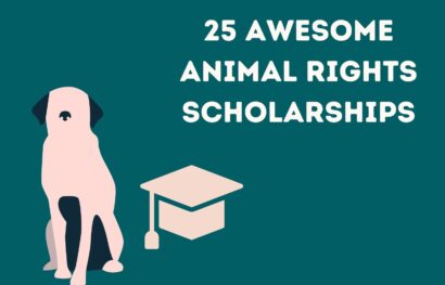 25 Awesome Animal Rights Scholarships