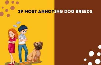 29 Most Annoying Dog Breeds