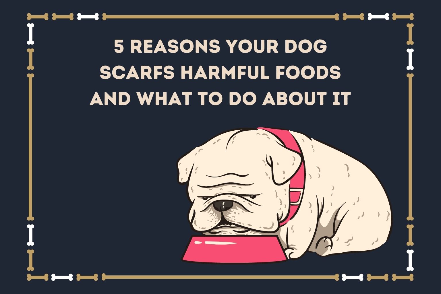 5 Reasons Your Dog Scarfs Harmful Foods and What to Do About It