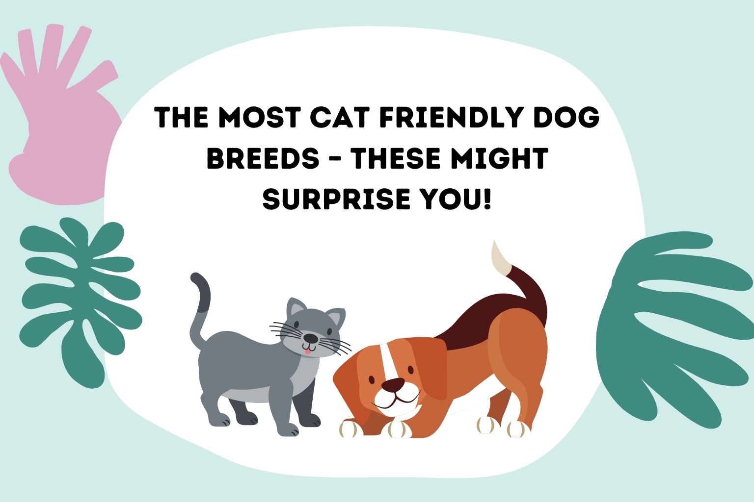 The Most Cat Friendly Dog Breeds – These Might Surprise You!
