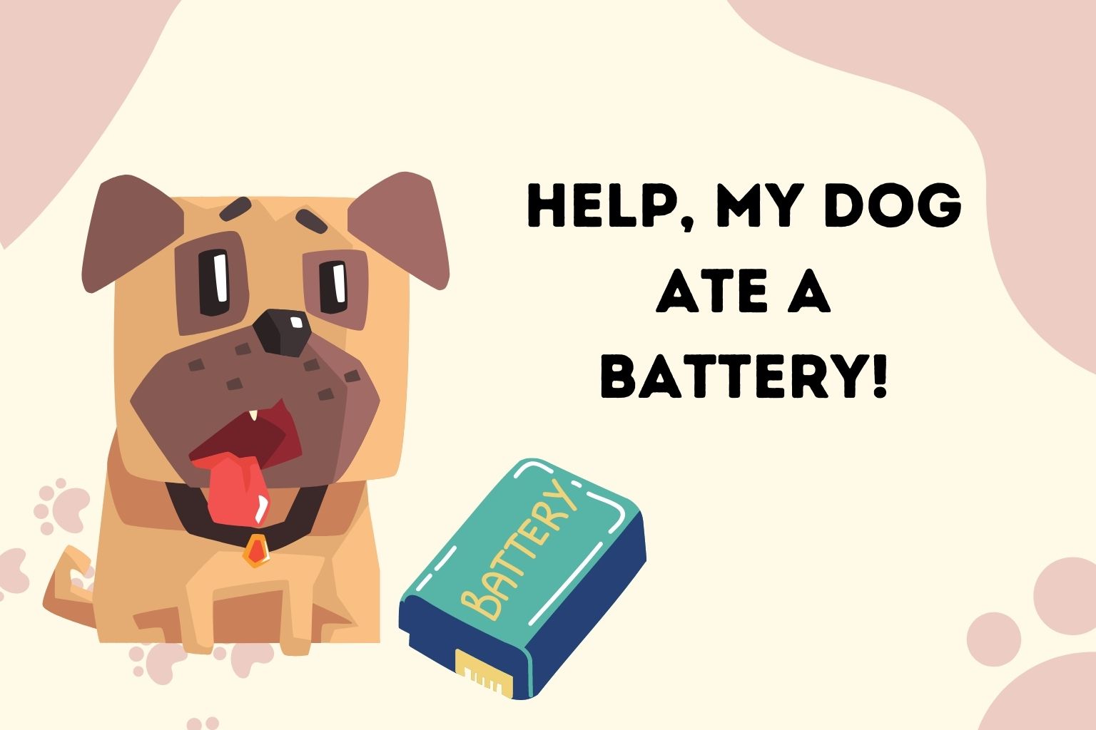 Help, My Dog Ate a Battery!