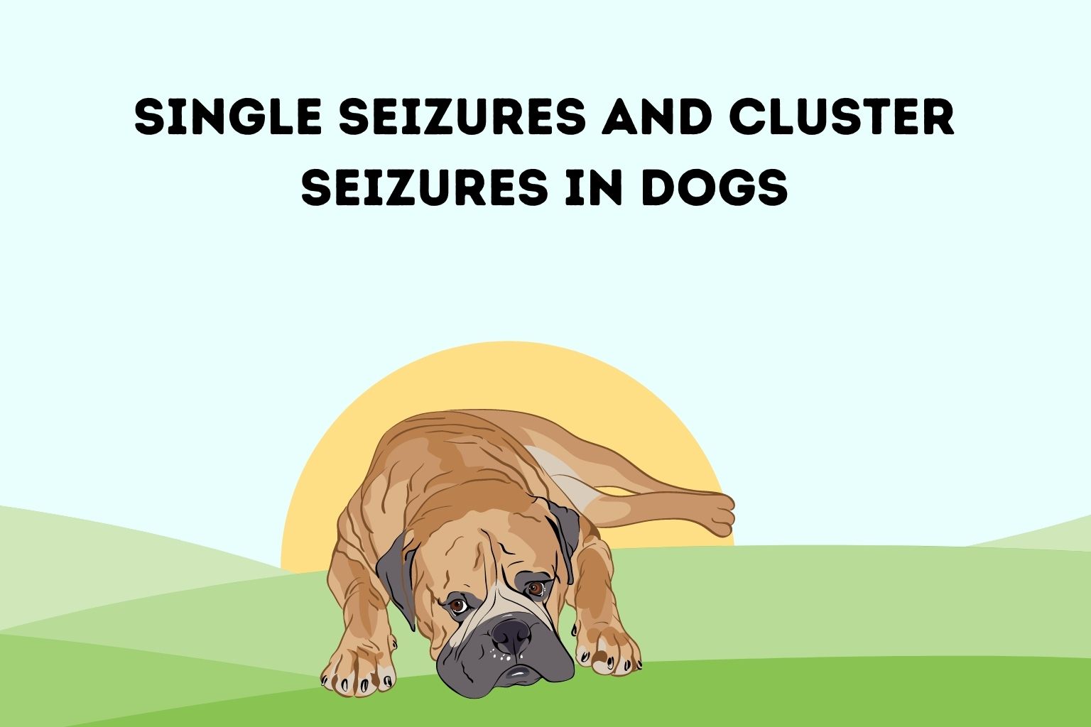 Single Seizures and Cluster Seizures in Dogs