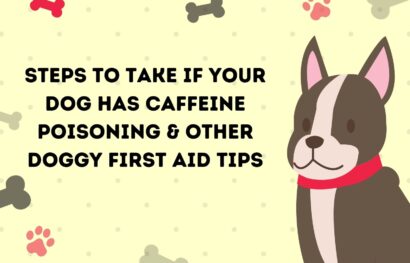 Steps to Take if Your Dog Has Caffeine Poisoning & Other Doggy First Aid Tips