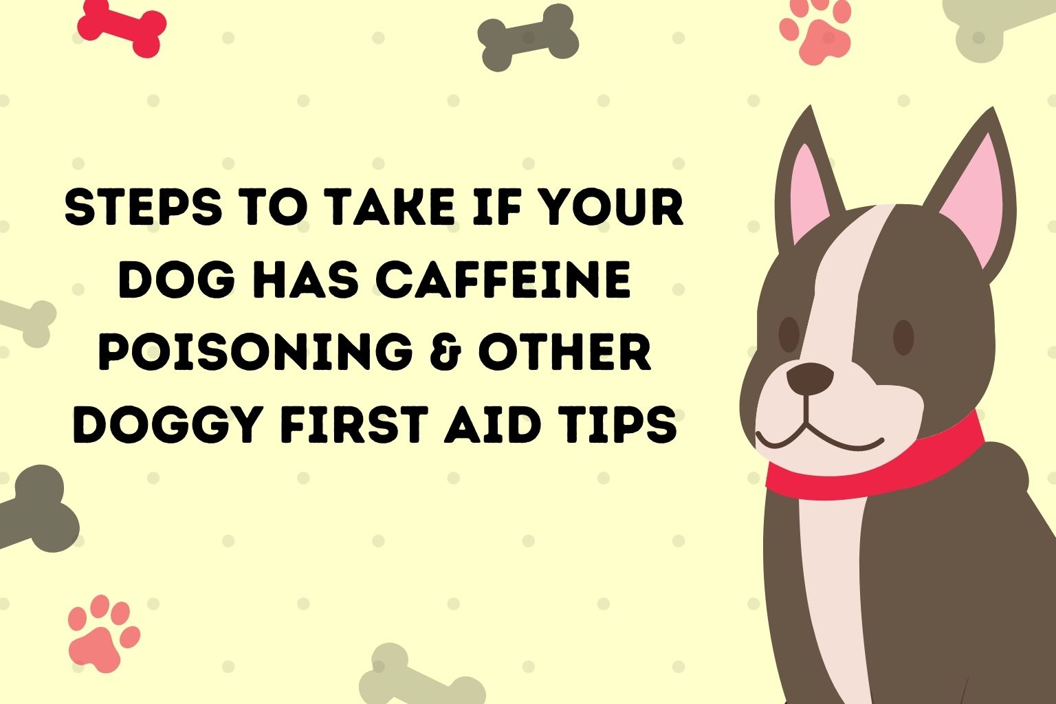 Steps to Take if Your Dog Has Caffeine Poisoning & Other Doggy First Aid Tips