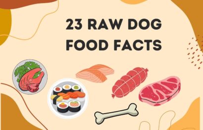 23 Raw Dog Food Facts