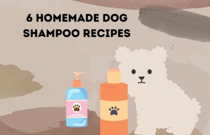 6 Homemade Dog Shampoo Recipes