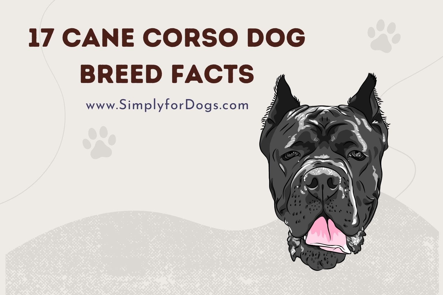 17 Cane Corso Dog Breed Facts