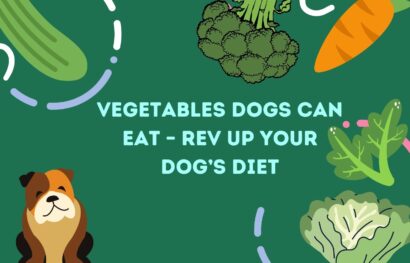 Vegetables Dogs Can Eat – Rev Up Your Dog’s Diet