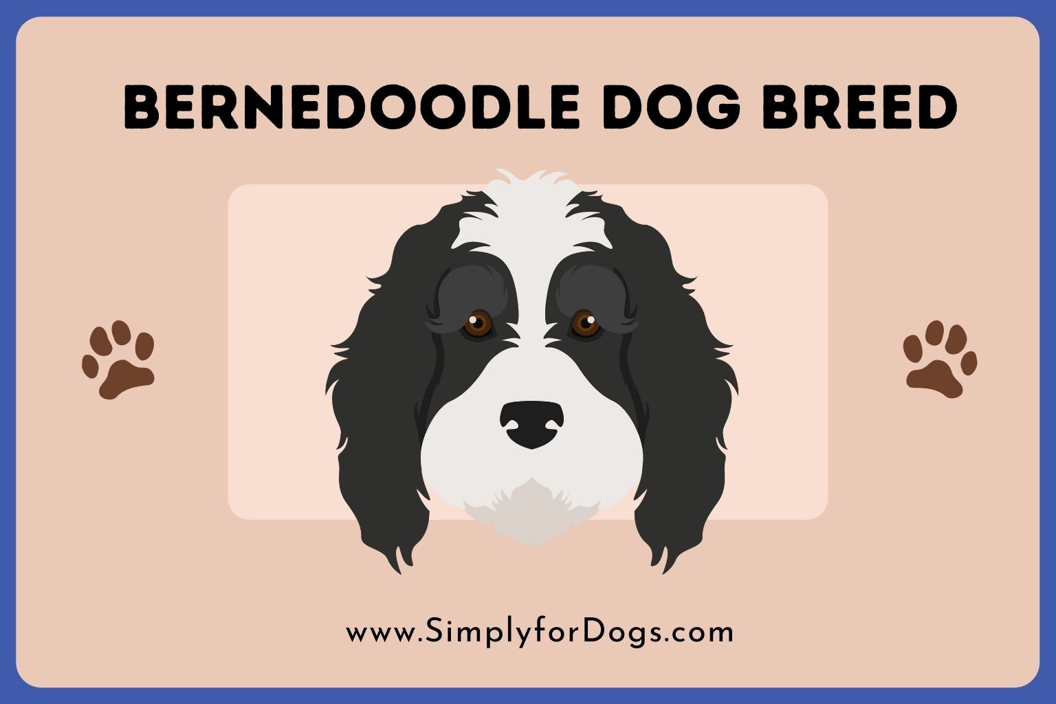 Bernedoodle Dog Breed