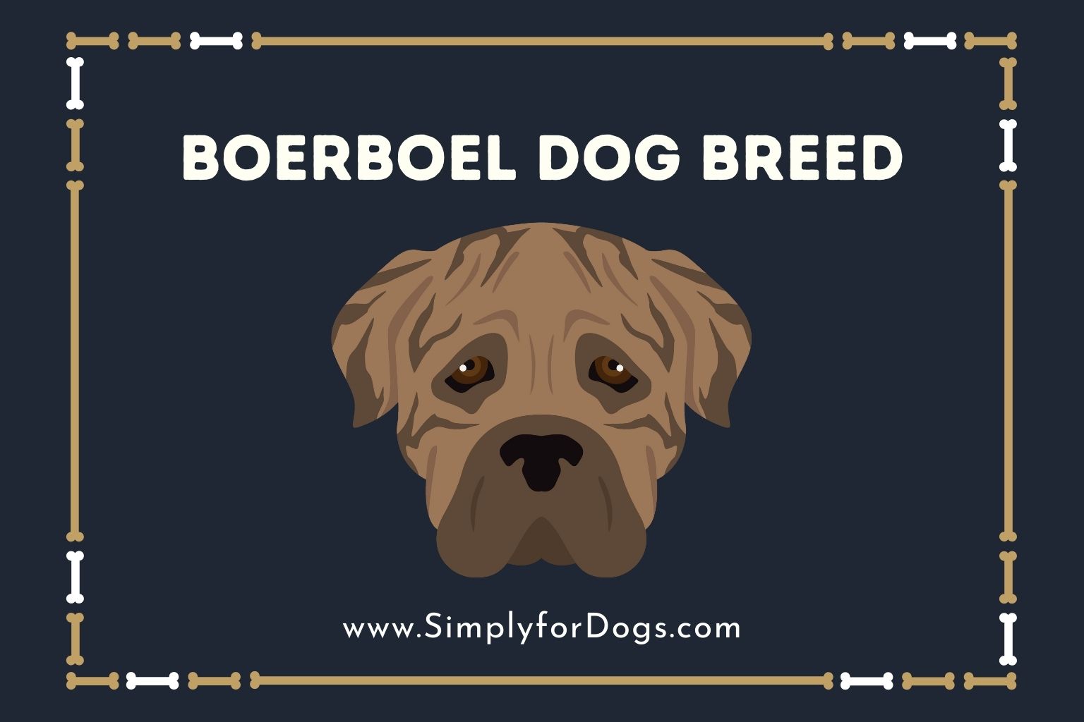 Boerboel Dog Breed