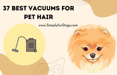 37 Best Vacuums for Pet Hair