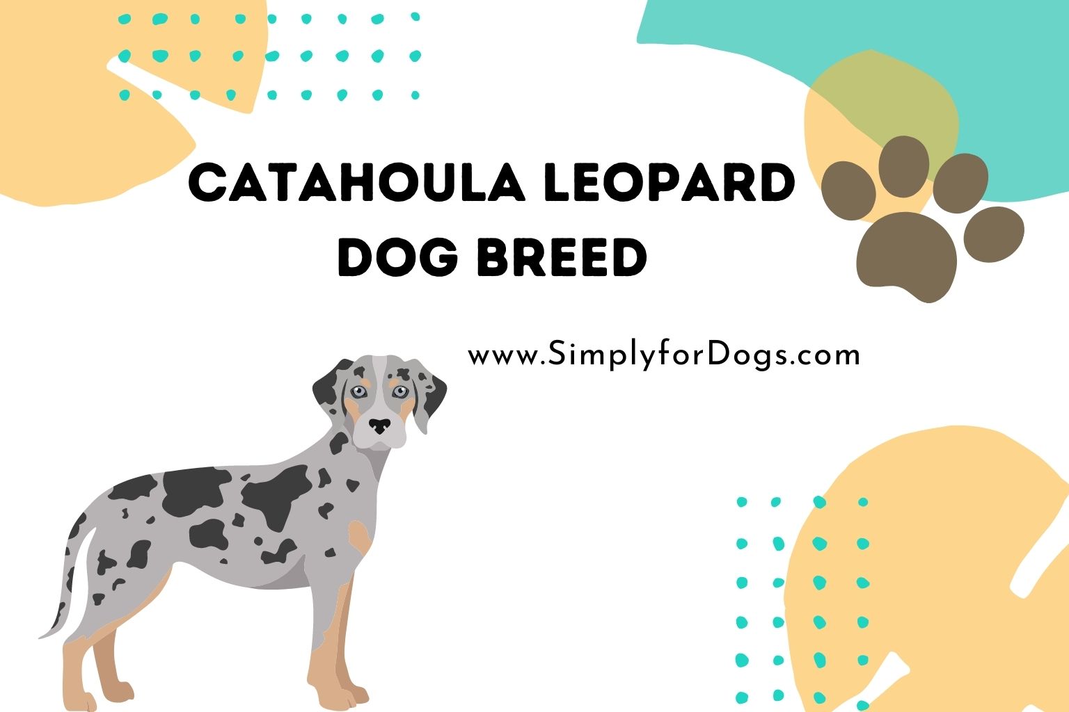 Catahoula Leopard Dog Breed