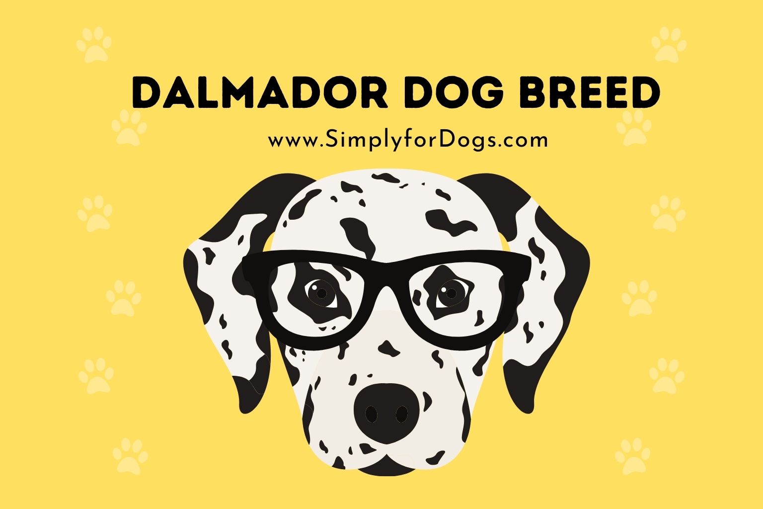Dalmador Dog Breed