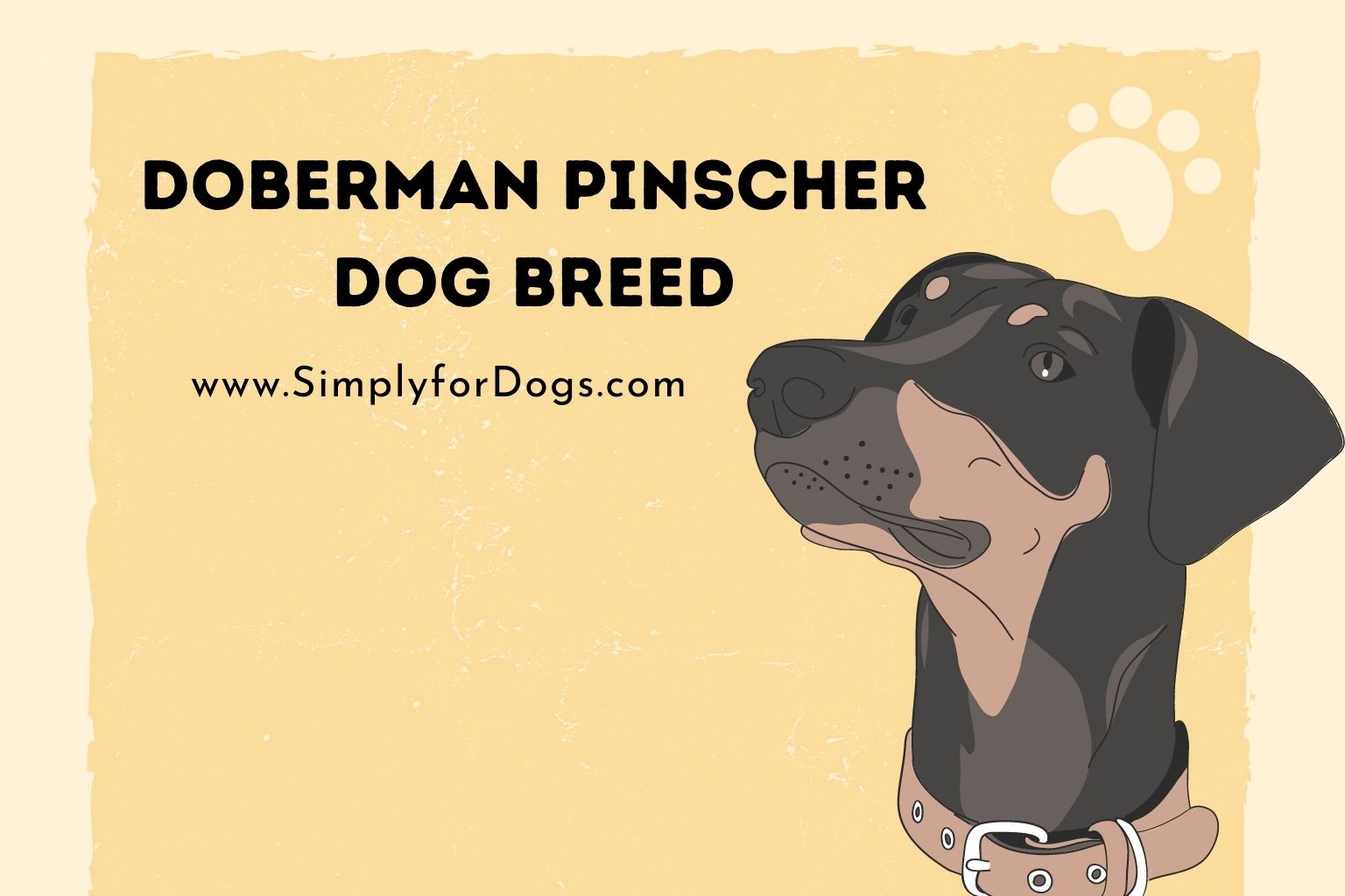 Doberman Pinscher Dog Breed