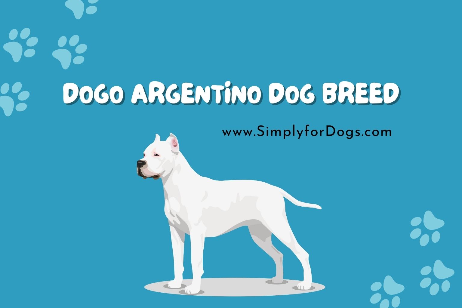 Dogo Argentino Dog Breed