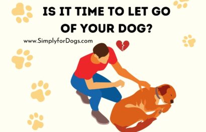 Is It Time to Let Go Of Your Dog