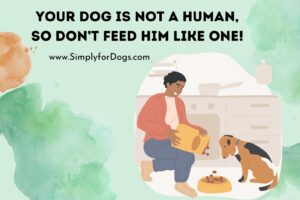 ﻿Your Dog is Not a Human, So Don’t Feed Him Like One!