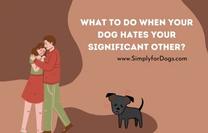 What To Do When Your Dog Hates Your Significant Other