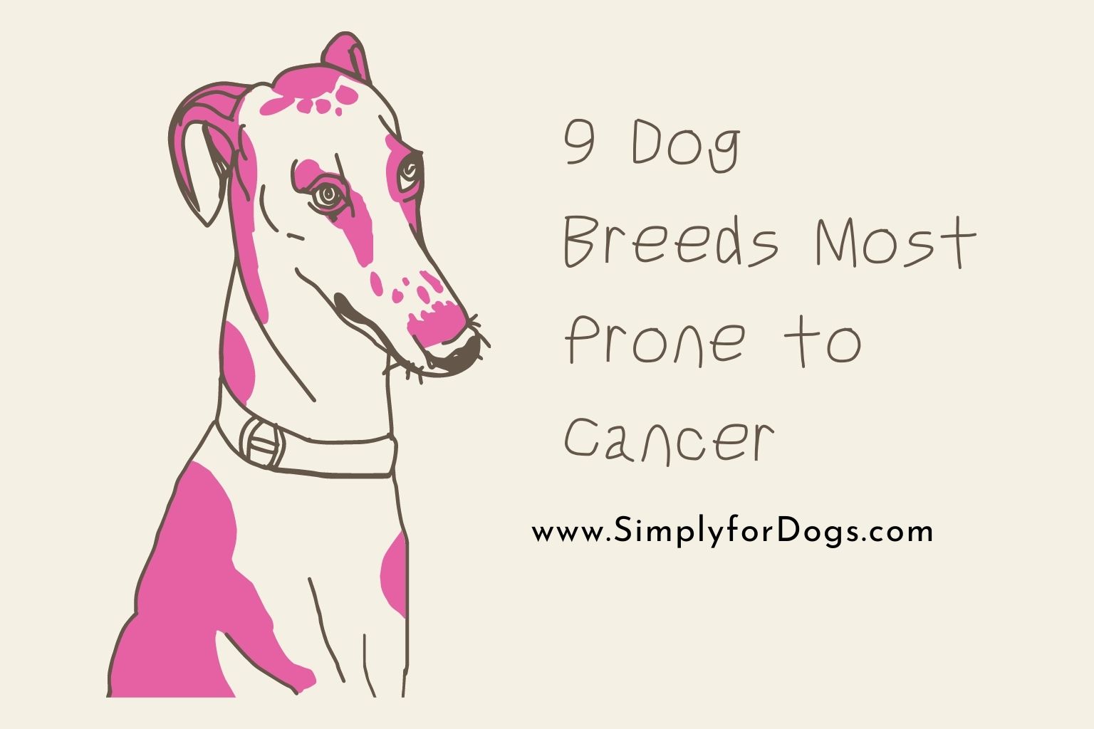 9 Dog Breeds Most Prone to Cancer