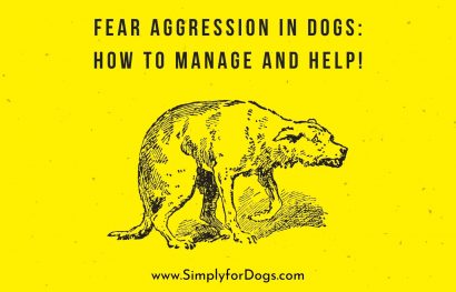 Fear Aggression in Dogs_ How to Manage and Help!