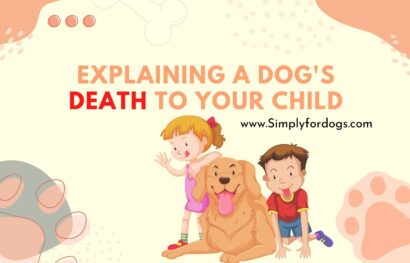 Explaining-A-Dog's-Death-to-Your-Child