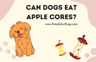Can Dogs Eat Apple Cores