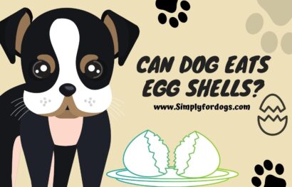 Can-Dog-Eat-Egg-Shells