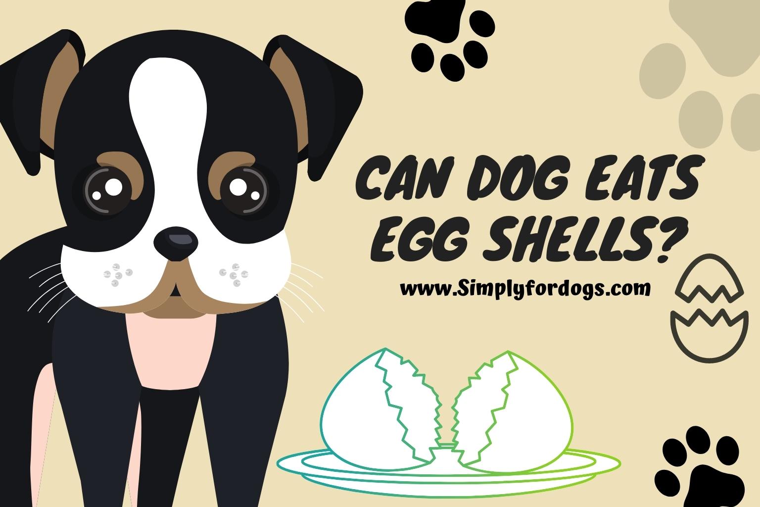 Can-Dog-Eat-Egg-Shells